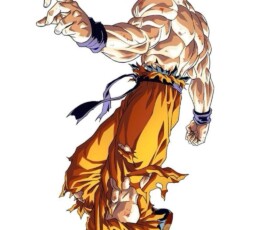 This is Goku