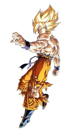 This is Goku